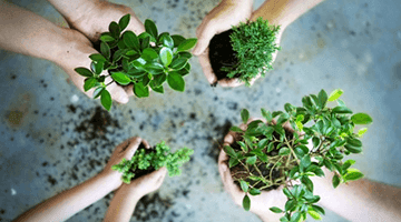 Thu hien trach nhiem cong dong